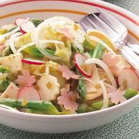 春野菜のシャキシャキサラダ
