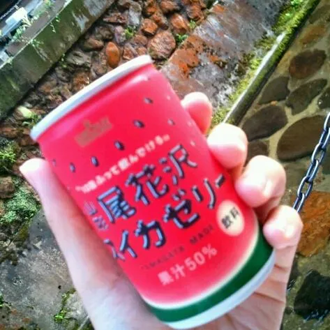 尾花沢名物のスイカがゼリーに！
スイカはそのままで食べるのが一番だとわかった日。。。|ゆきさん