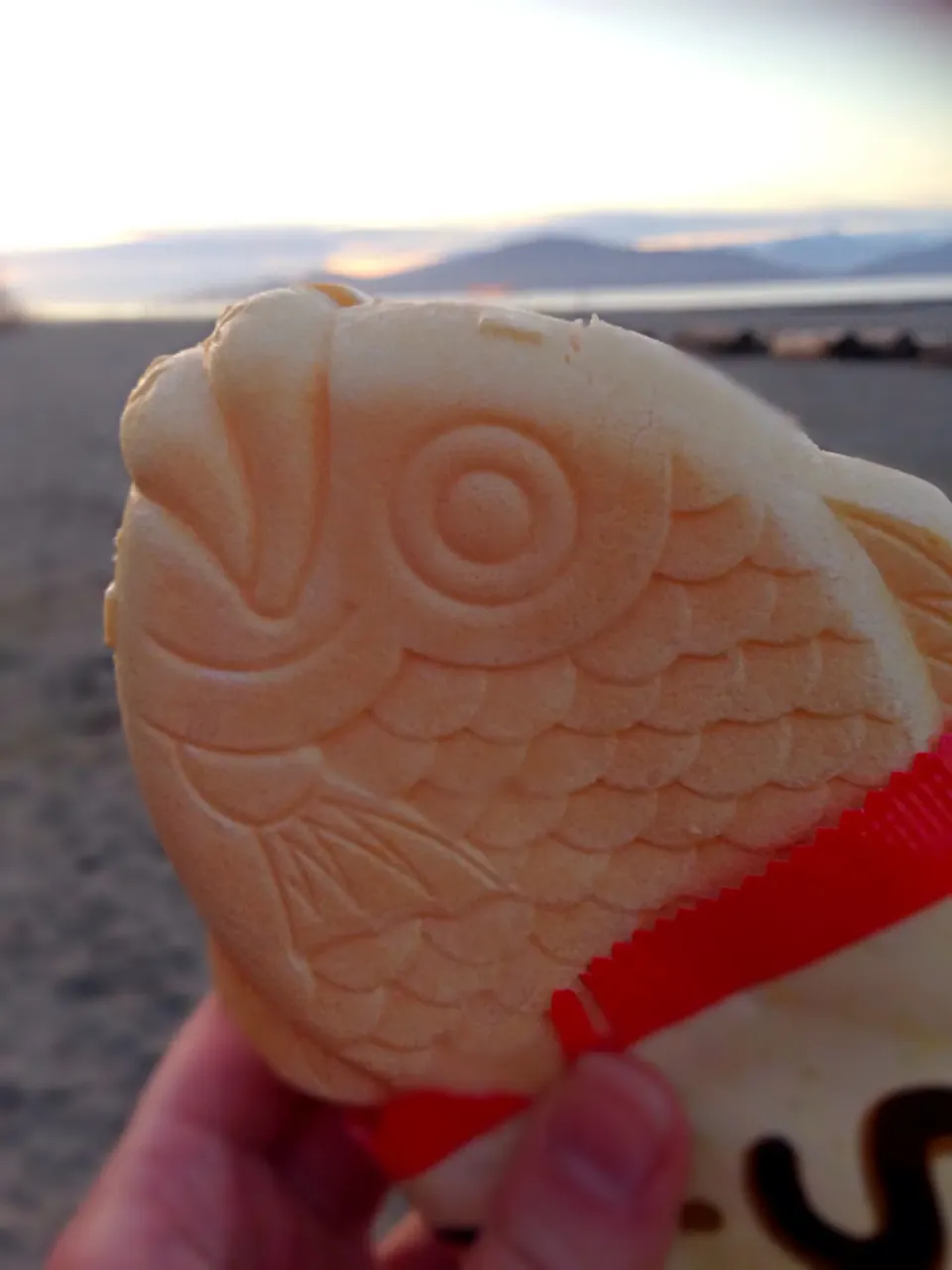 Ice Cream at the Beach|Natashaさん