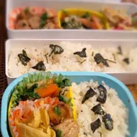 Snapdishの料理写真:今日のお弁当。マグロの醤油漬け炒め、ほうれん草とにんじん、豚肉のソテー、カニかまと卵コーンとトマトサラダ、海苔ごはん。|Mayumi Suzukiさん