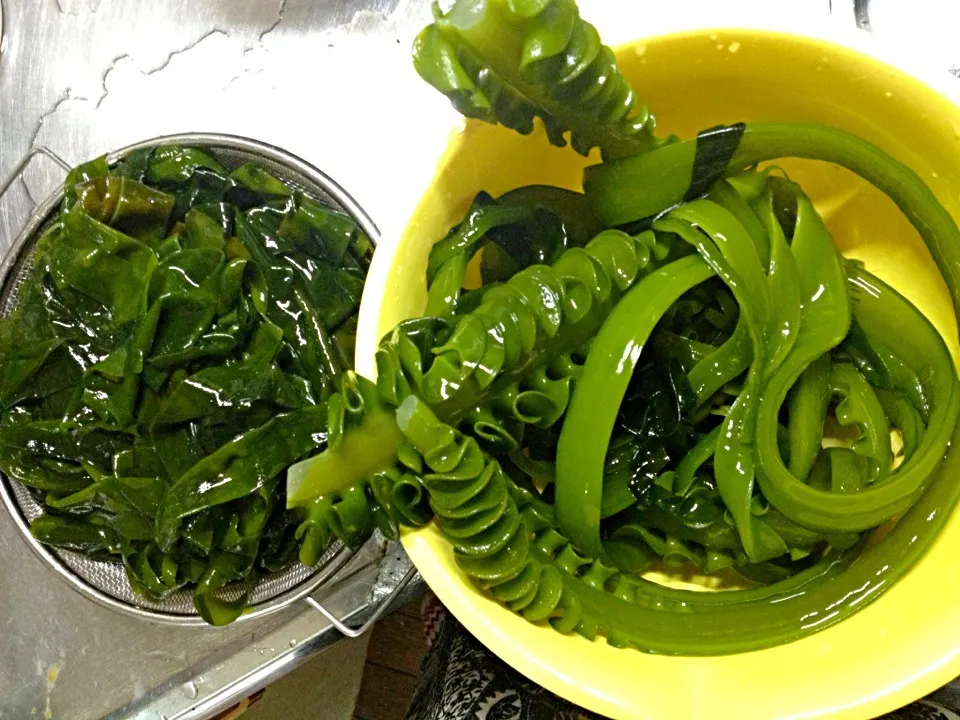やっと茹でおえた(^^;; 淡路の 生わかめ。|ハルさん