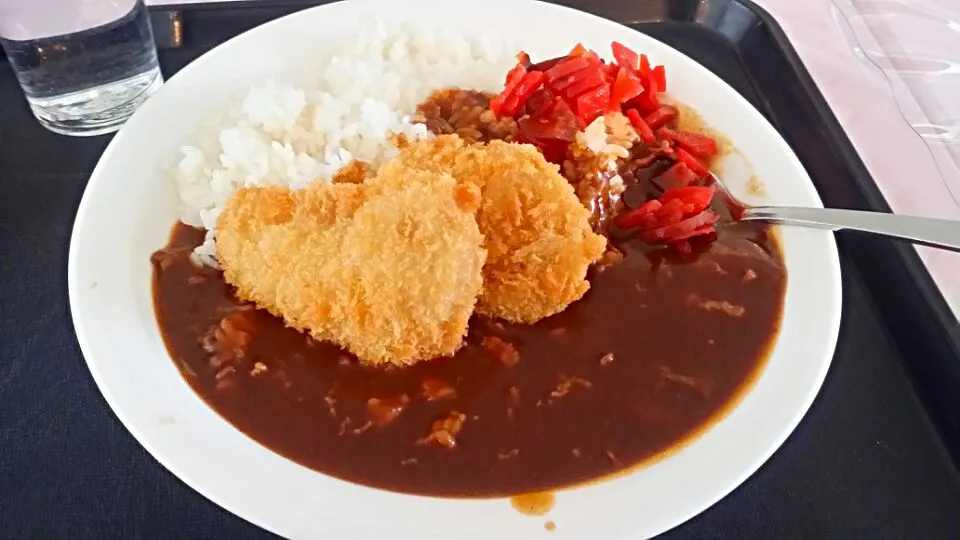 雪山カツカレー|もちさん