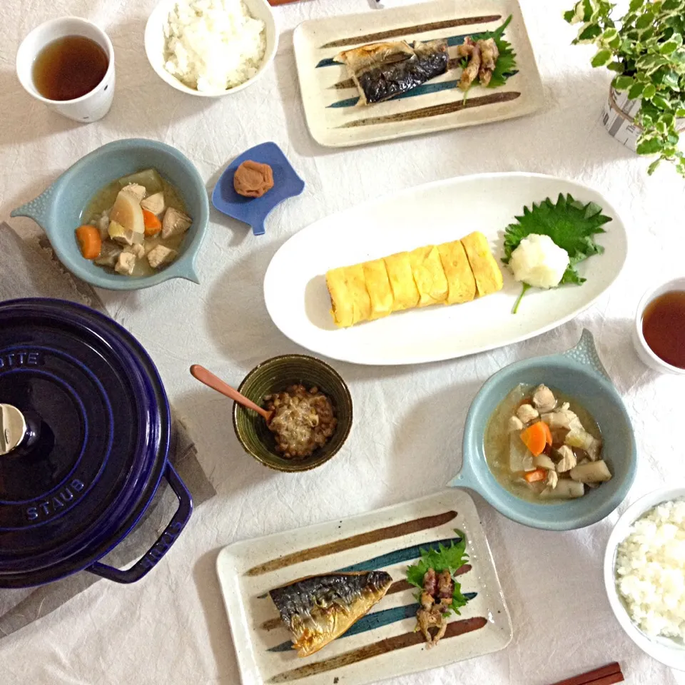 お昼ご飯|まいこさん