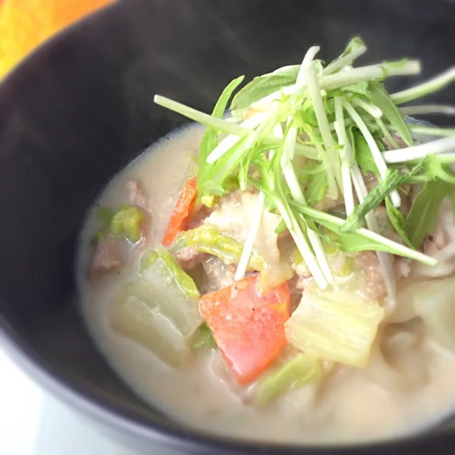 豚肉と白菜の豆乳ゴマ味噌うどん|ふぅちゃんさん