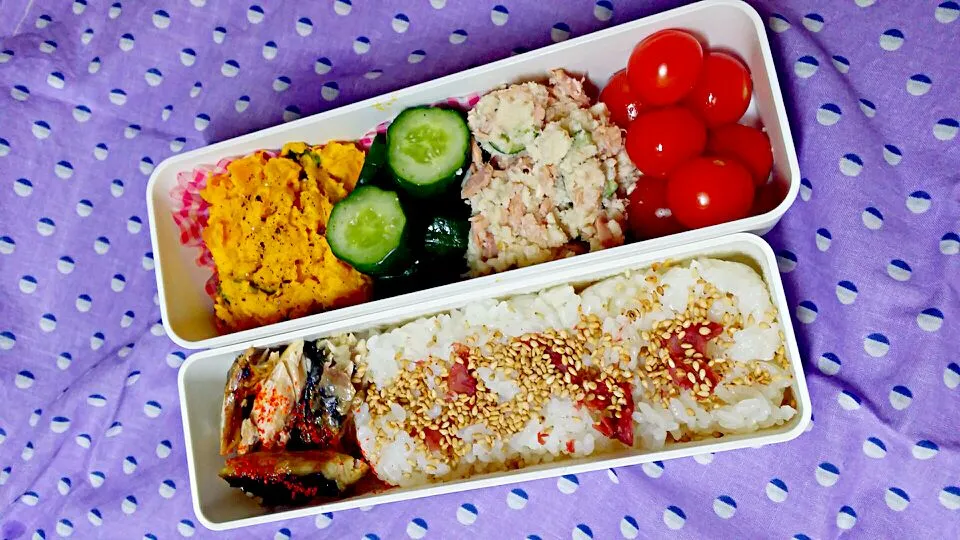 自分用お弁当3.15|VEGAさん