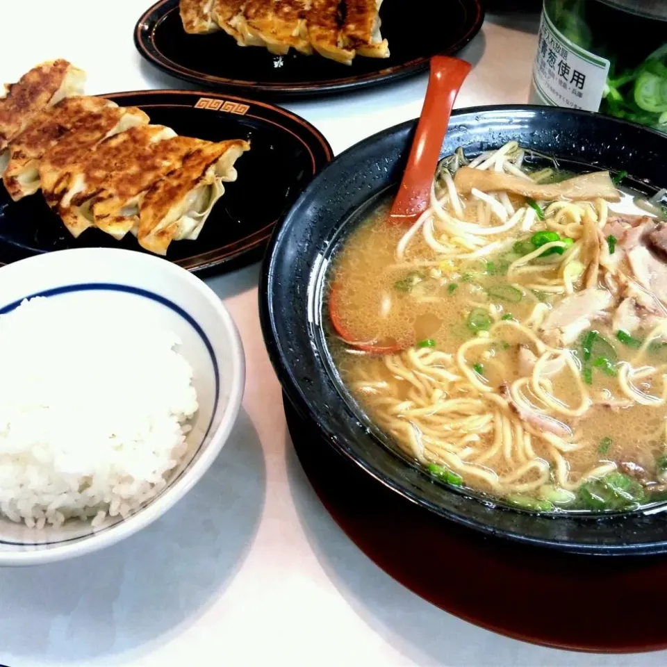 Snapdishの料理写真:豚骨醤油ラーメンとピリ辛ギョーザ♪|MIDORIさん