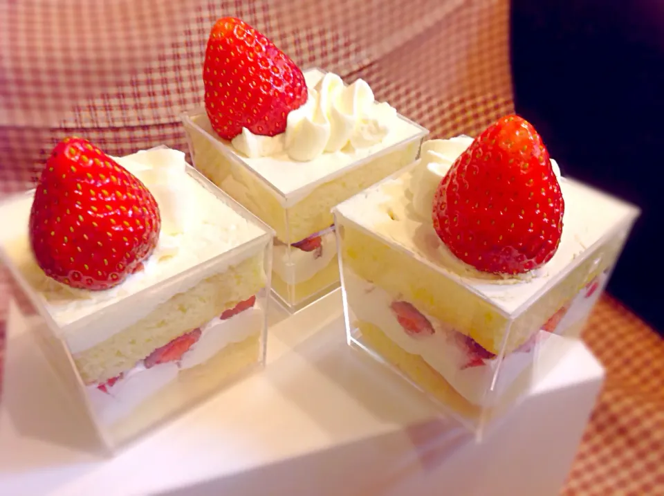 プチショートケーキ🍓|アライさんさん