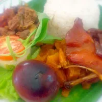 Snapdishの料理写真:nasi gudeg khas Jogja|nawangsuciさん