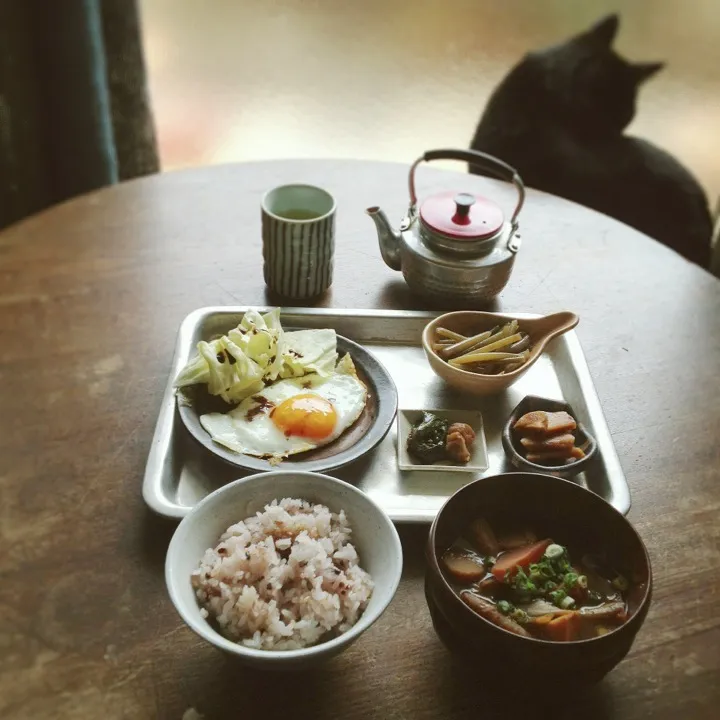 “ いつでも食べれる ”|おたんこ食堂  d□~°さん