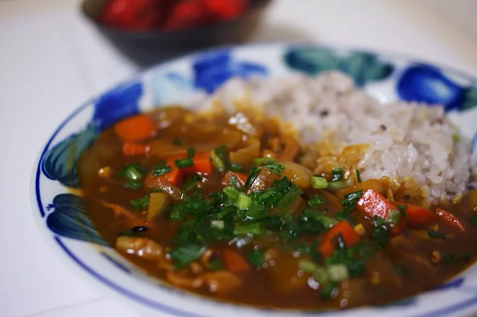 野菜たっぷり和風カレー|REOさん