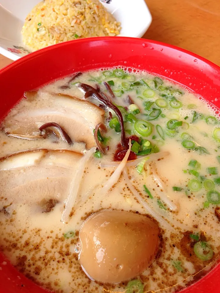 牛醬ラーメン・細麺バリカタ|伍龍やすさん