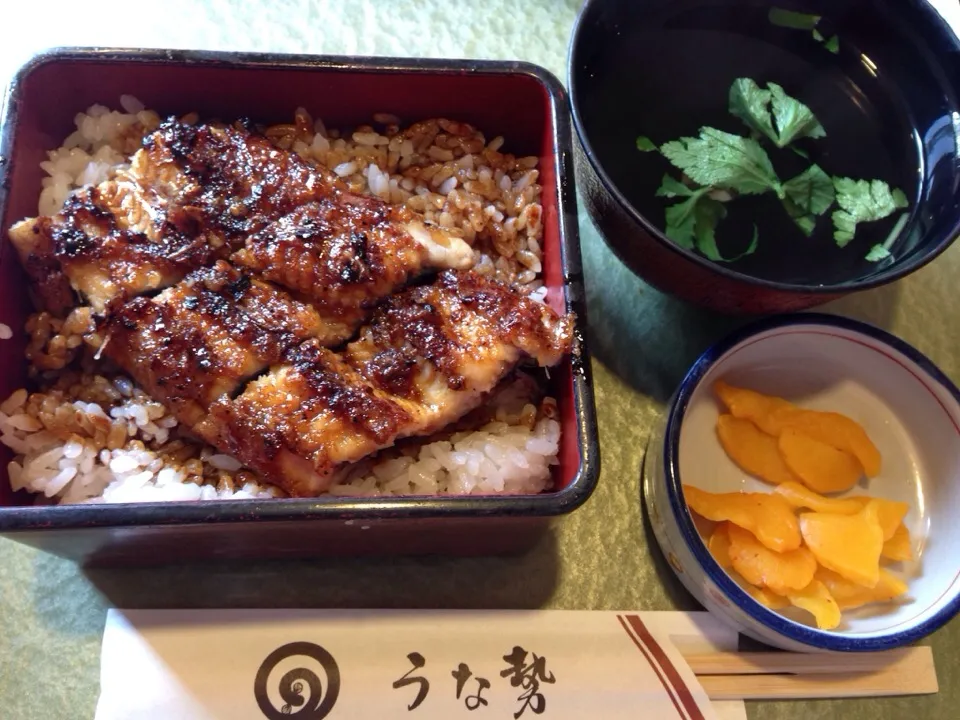 四日市、うな勢。|ねまあさん