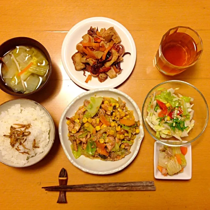 鶏もも肉とキャベツの中華炒め イカと厚揚げのサッと煮 白菜のツナ煮|中西 ツヨシさん