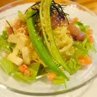 オクラと山芋とマグロの冷製手打ちパスタ|paddleさん