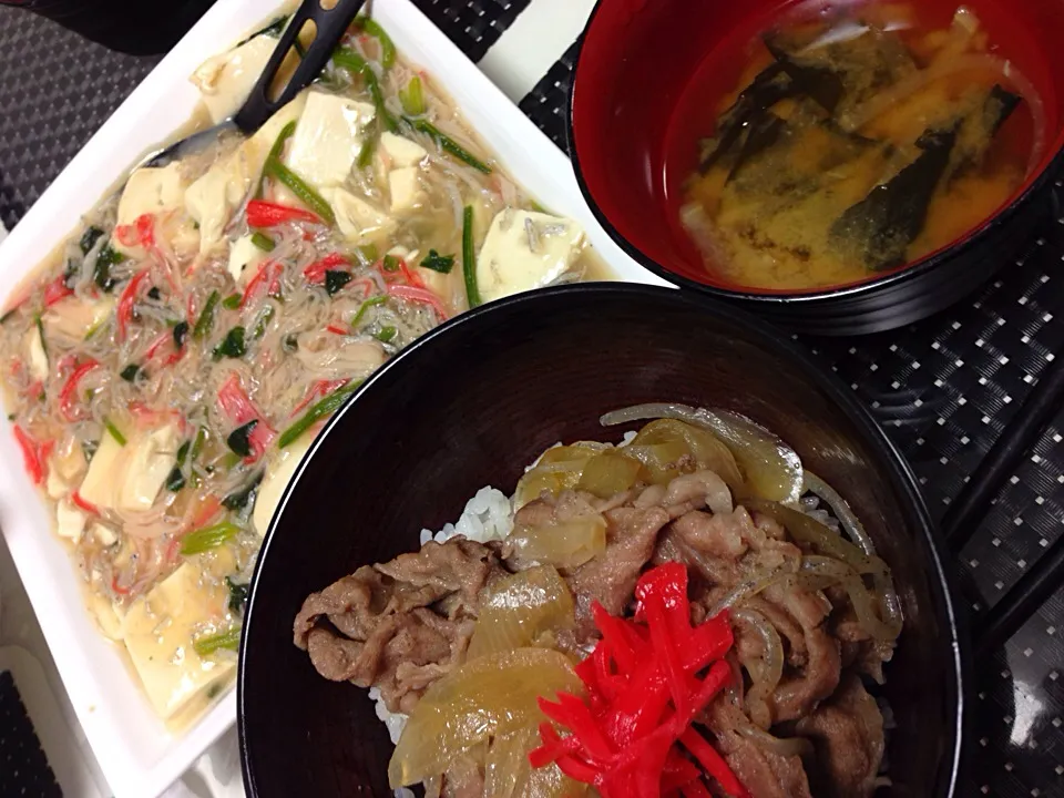 牛丼☆豆腐としらすとほうれん草の中華煮|MEGUMIさん