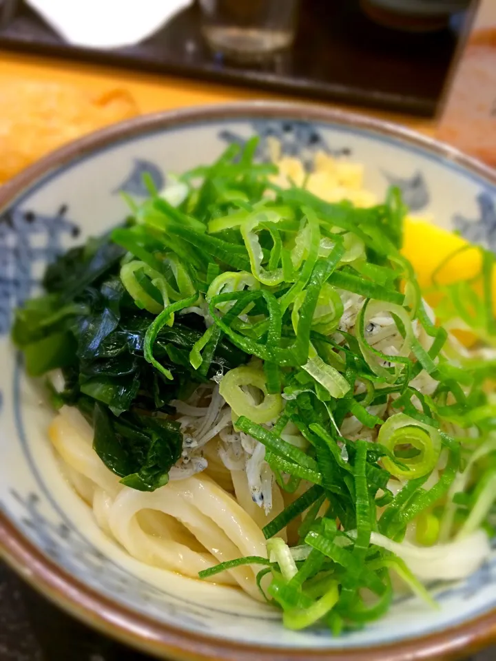 しらすおろしうどん(冷)|しげさん