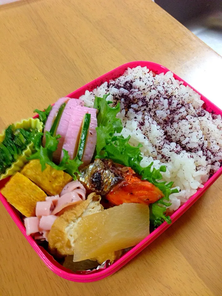 今日のお弁当|naruさん