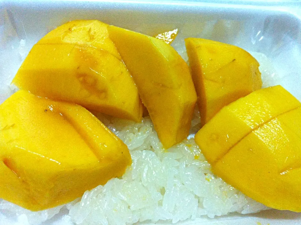 mango with sticky rice😬|꒰✾꒱˚°꒰ben꒱°˚꒰✾꒱さん