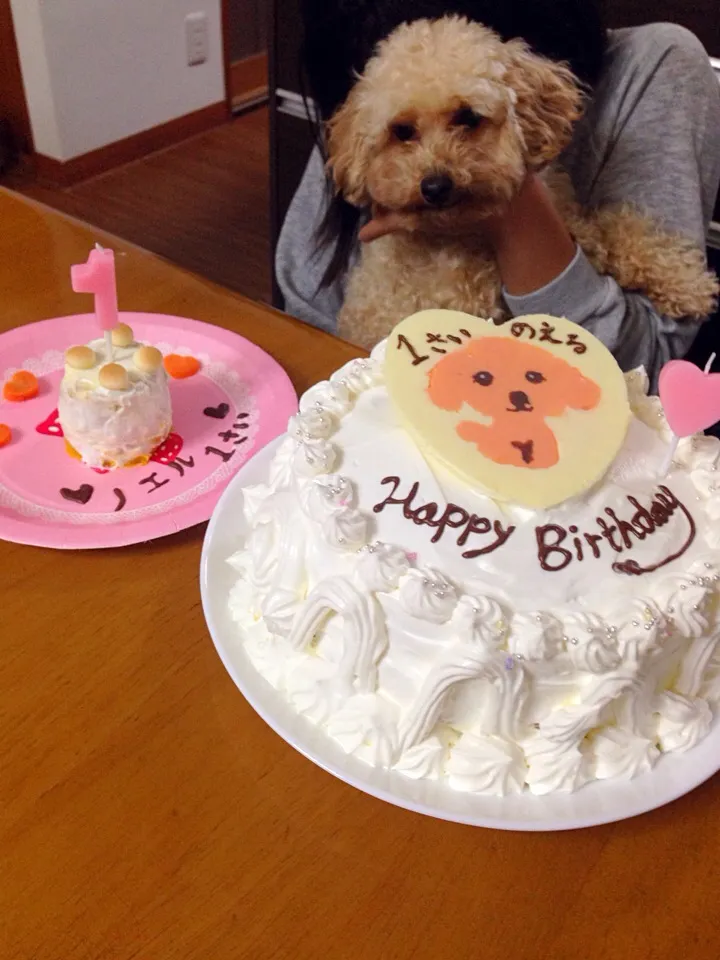 ワンコのお誕生日ケーキ|cielさん