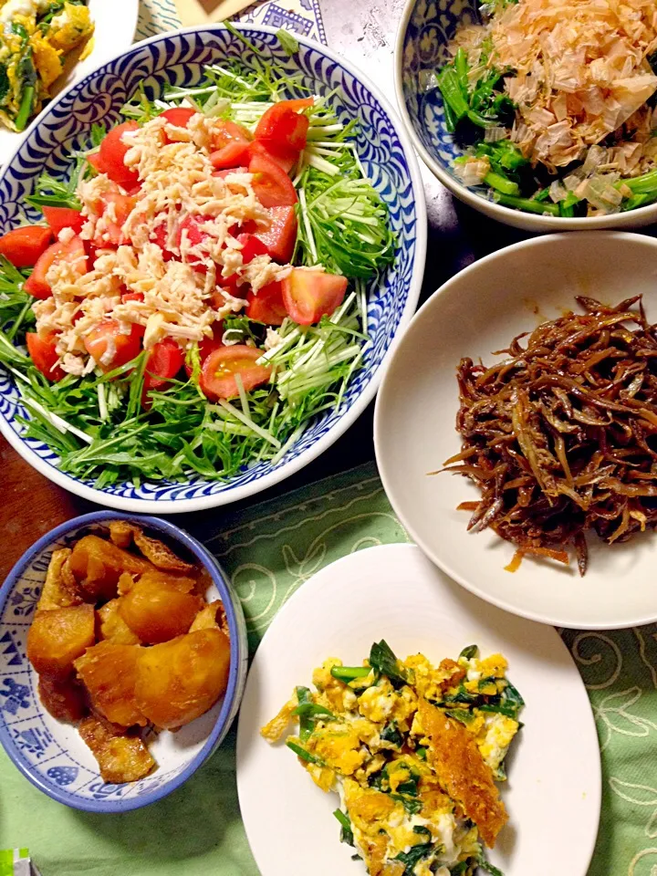 芋と揚げの煮物 ニラ玉 ほうれん草のお浸し 水菜とトマトと鶏ササミのサラダ いかなごの釘煮|掛谷節子さん