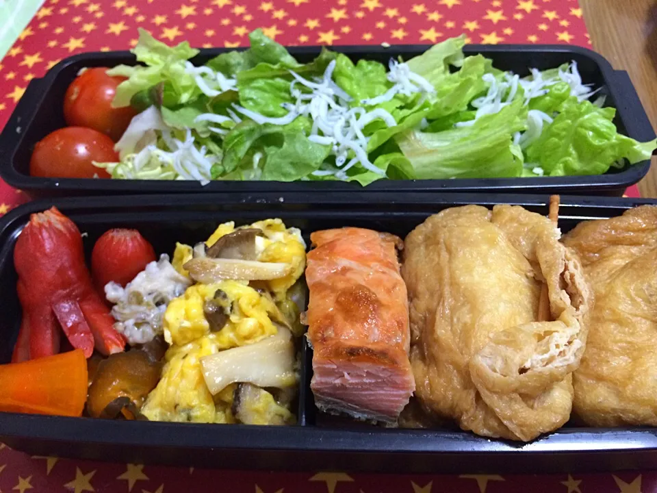 今日の弁当0319|wildcat山猫さん