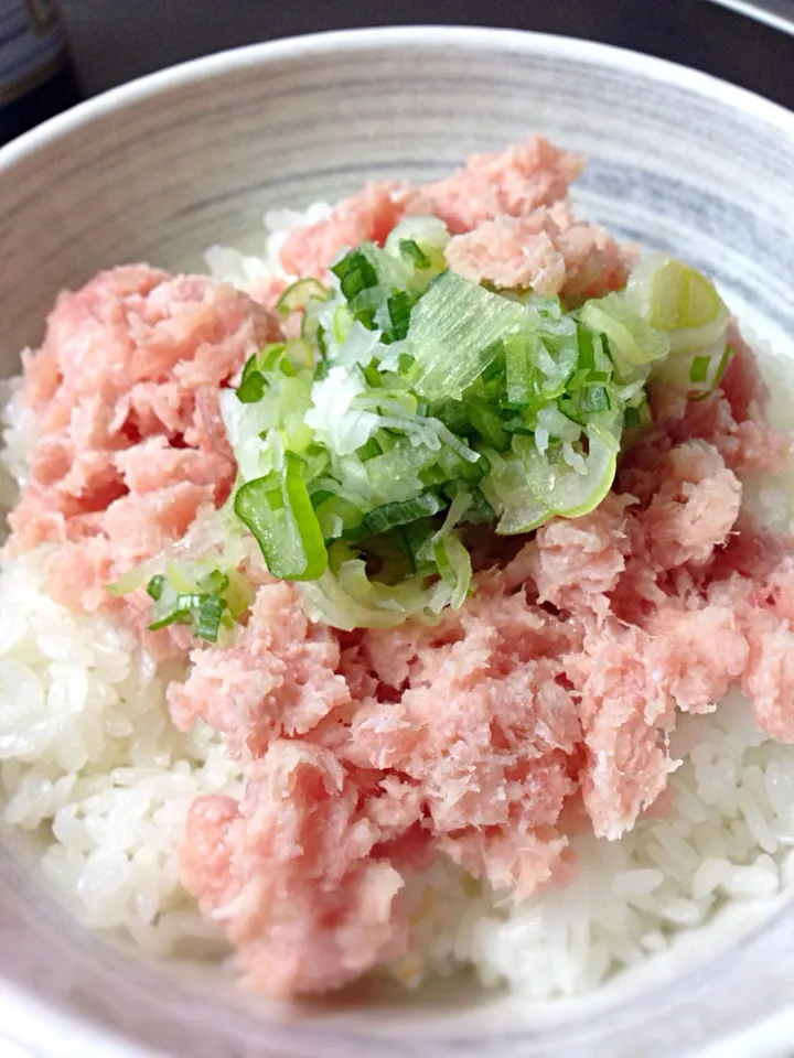 ネギトロ丼。。|ポルコさん