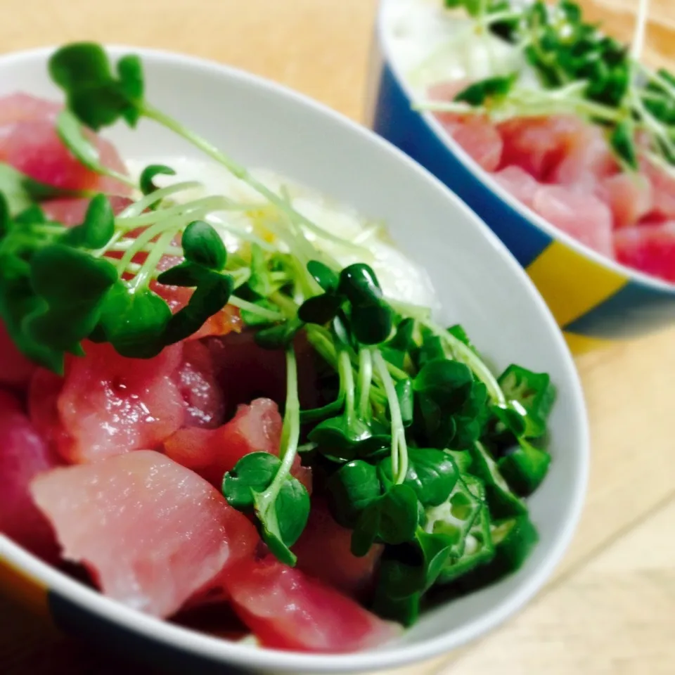 Snapdishの料理写真:マグロのネバトロ丼|ＭＩＹＡさん