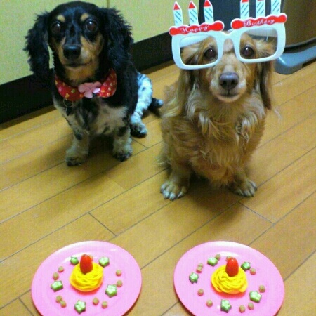 犬用お誕生日ケーキ 笑 味付け無しのかぼちゃモンブラン ミニトマトとオクラで飾り付け Rokochixxx666 Snapdish スナップディッシュ Id 0f90za