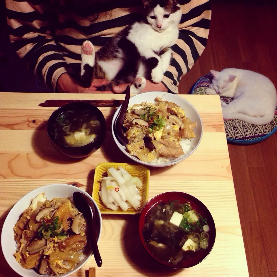 車麩、新玉ねぎ、きのこ、の玉子とじ丼♩新ワカメのお味噌汁。|naouさん