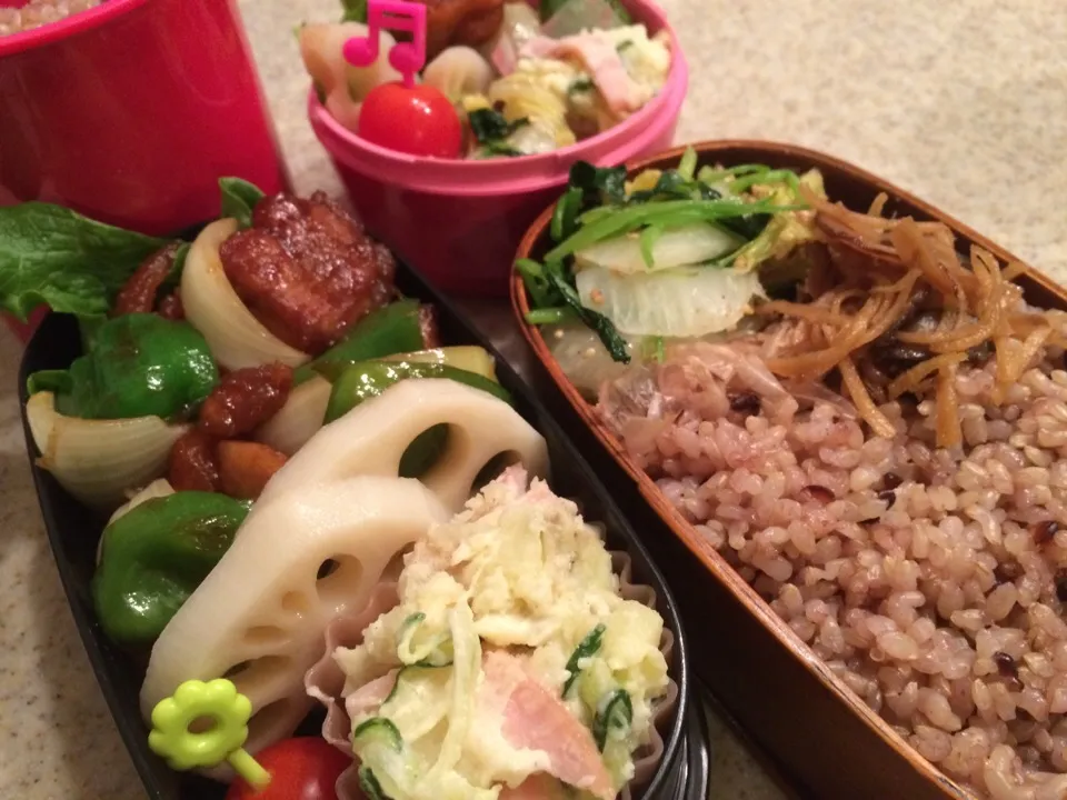 3/20 今日のお弁当|naoさん