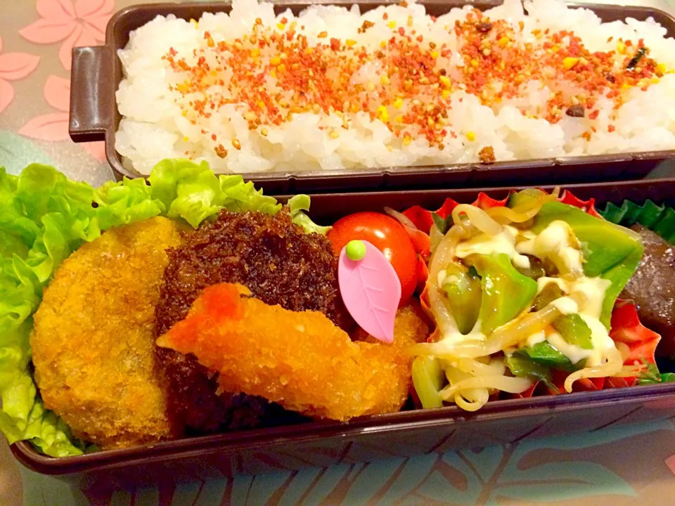 ダンナさまお弁当だったんだけど持って行かなくなったのであたしのお弁当🍱🍱|かずみさん