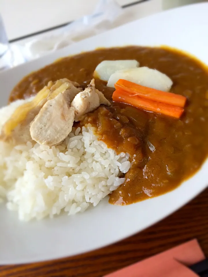 比内地鶏のカレー|山﨑正樹さん