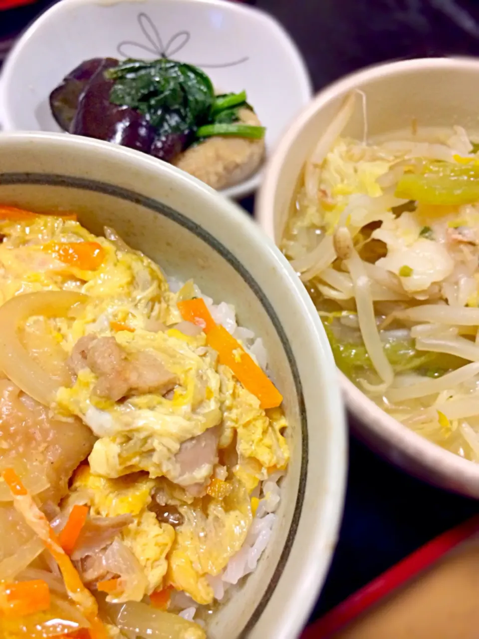 親子丼、スープ餃子、茄子と根菜つみれの煮物|caoさん