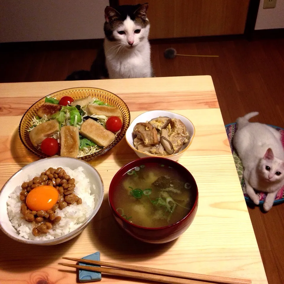 麹ドレッシングで、生麩サラダ♩と、納豆玉子ご飯♩と、昨日の残り。|naouさん