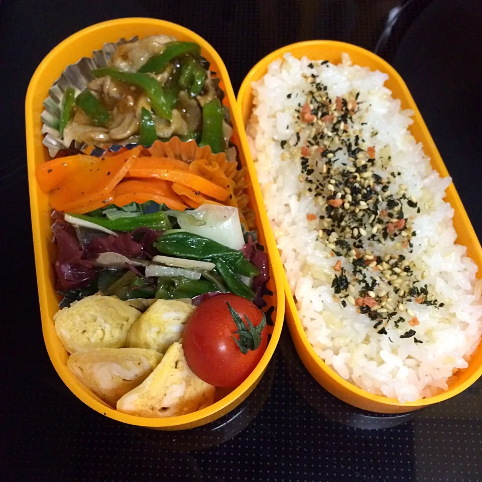 今日のお弁当(^_^)v|こずこずさん