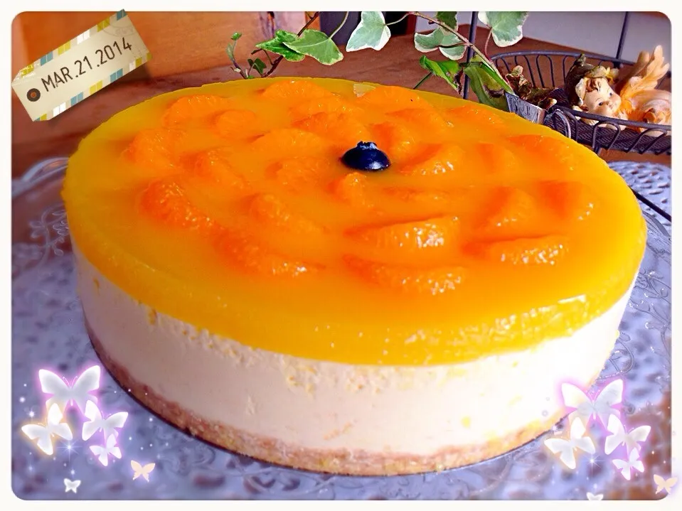 🍊みかんレアチーズケーキ🍊|kazu★さん