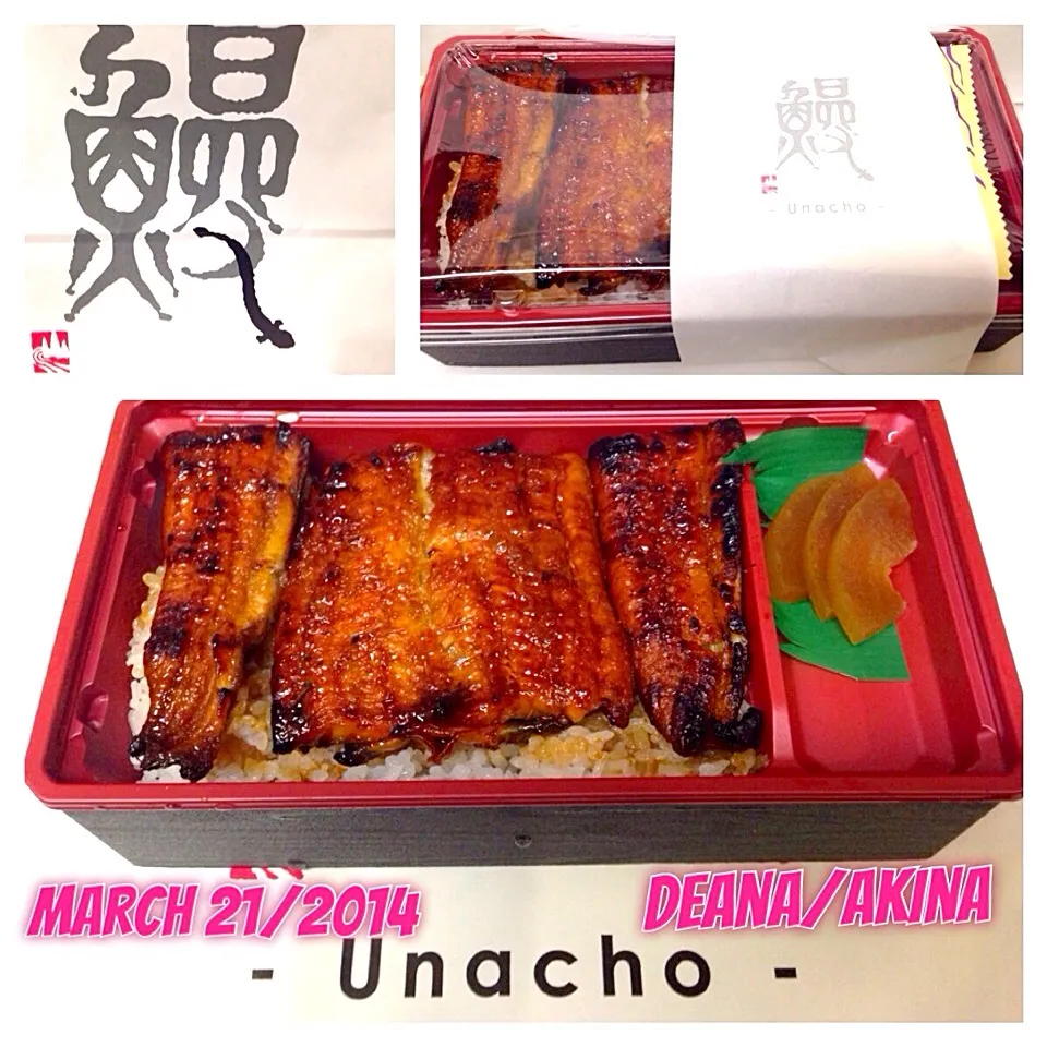 Unacho ... Dinner .... March 21/2014|Deana/Akinaさん