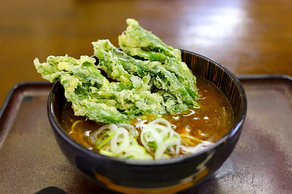 カレーそばにあしたば天|マハロ菊池さん