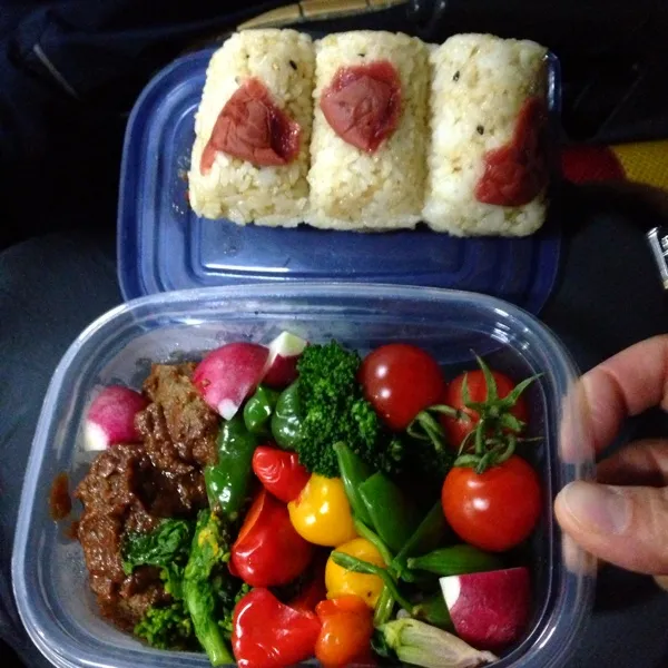 Snapdishの料理写真:桜島フェリーの中でお弁当。|hatuki_sさん