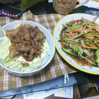 Snapdishの料理写真:春雨サラダと豚丼|いもこさん