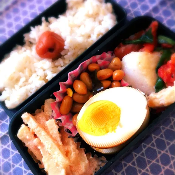 Snapdishの料理写真:久々の弁当(^ ^) 今日もまた暑くなっちゃいますが、頑張って行って来まっしょい(^_−)−☆
 タラモサラダ 鱈のムニエルトマト味|しびる1126さん