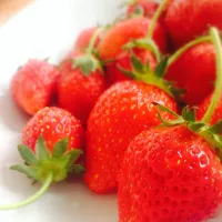 Snapdishの料理写真:🍓とちおとめちゃんたち🍓|robin-mさん