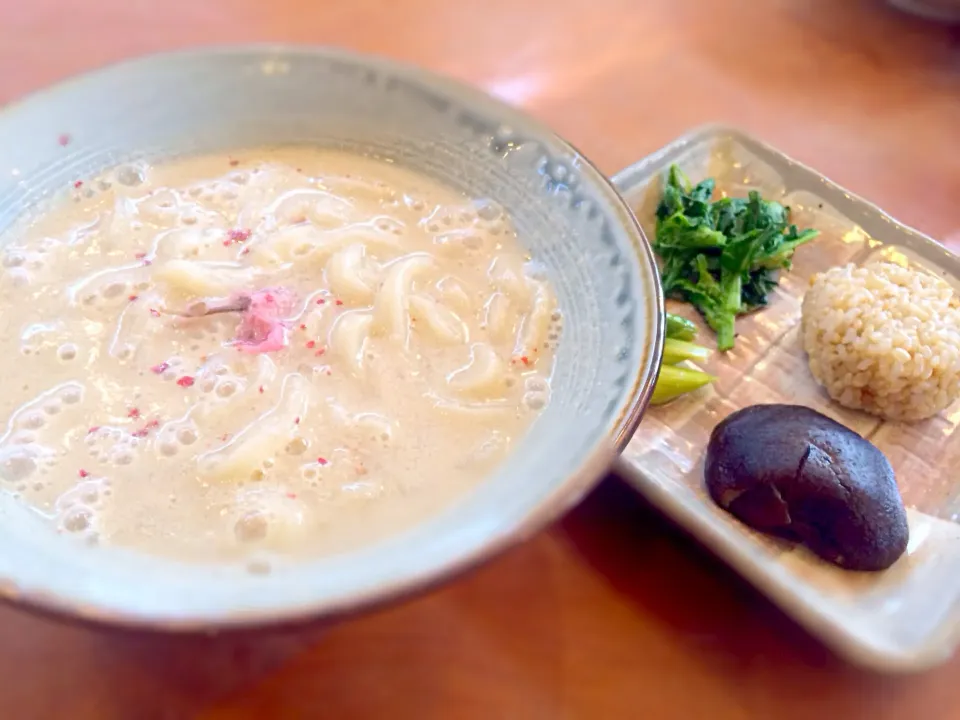 豆乳うどん|達也さん