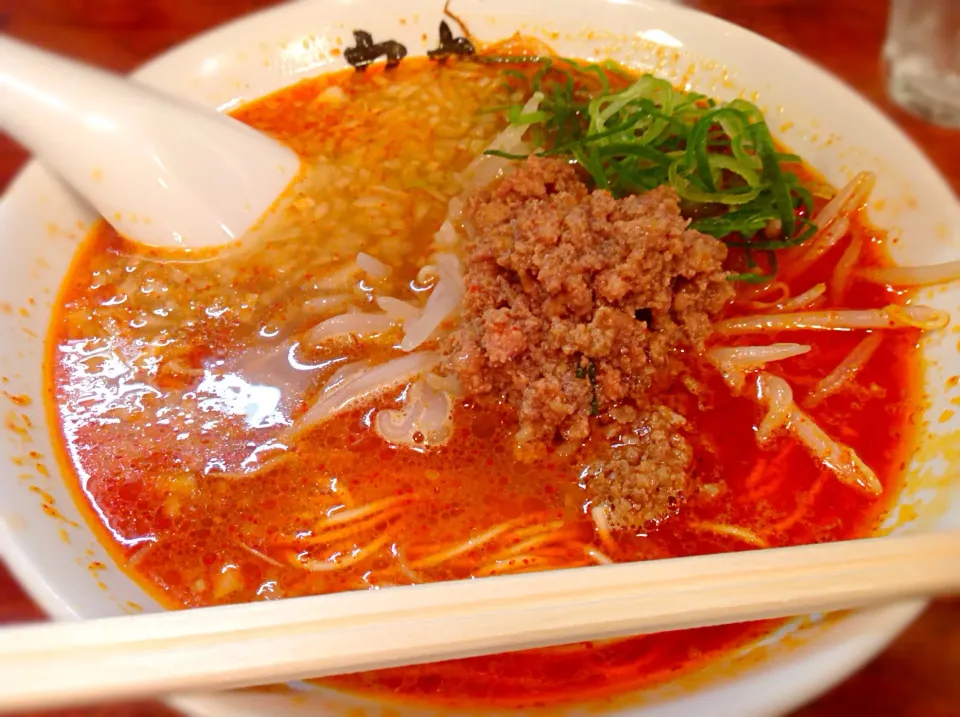 Snapdishの料理写真:台湾ラーメン(力丸、名駅)|アライさんさん