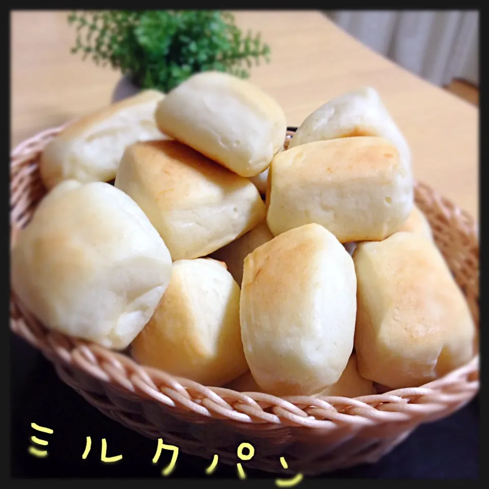 ソラさんの料理 ミルクパン♪|かぉりさん