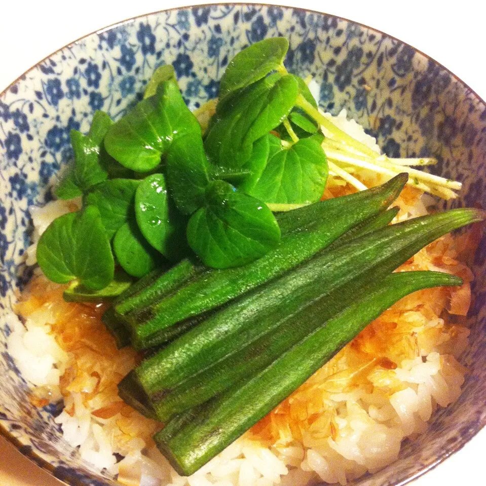 オクラの親子丼|ゆたぽんさん