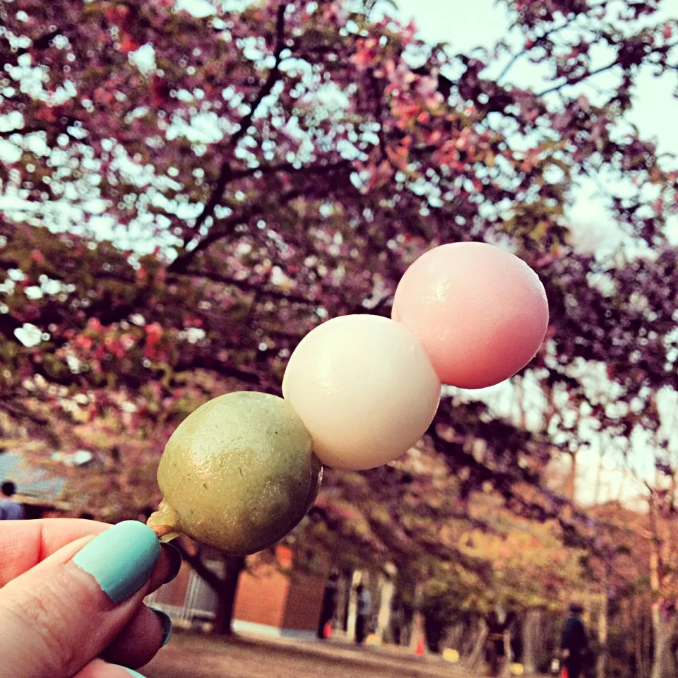 Snapdishの料理写真:3 color dango|azuuuzaさん