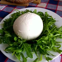 mozzarella di bufala|shimasumiさん