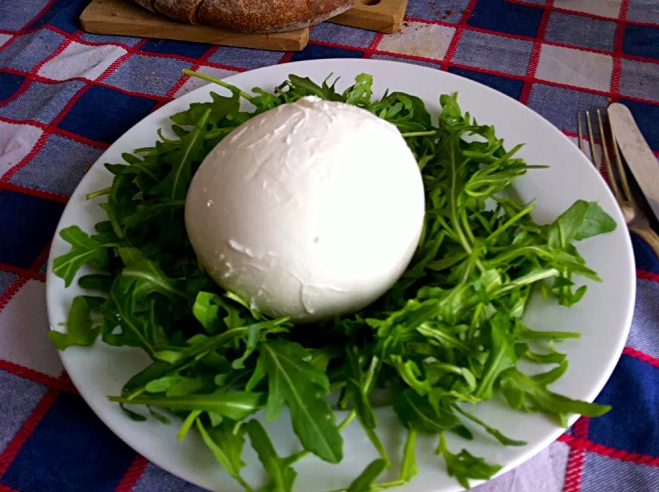 mozzarella di bufala|shimasumiさん