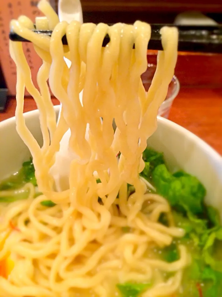 Snapdishの料理写真:鶏白湯麺 陰山の麺|morimi32さん